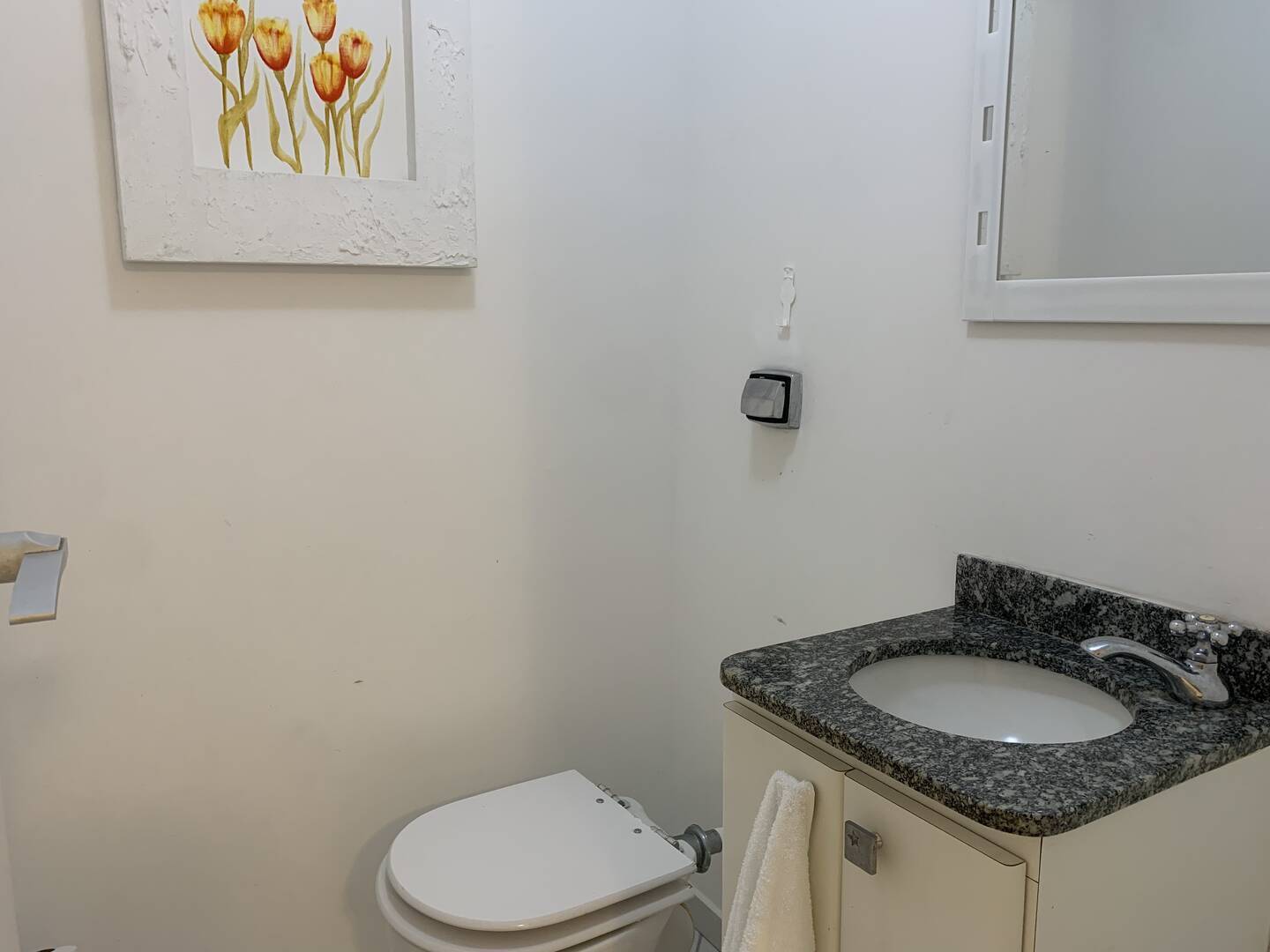 Apartamento à venda e aluguel com 3 quartos, 184m² - Foto 6